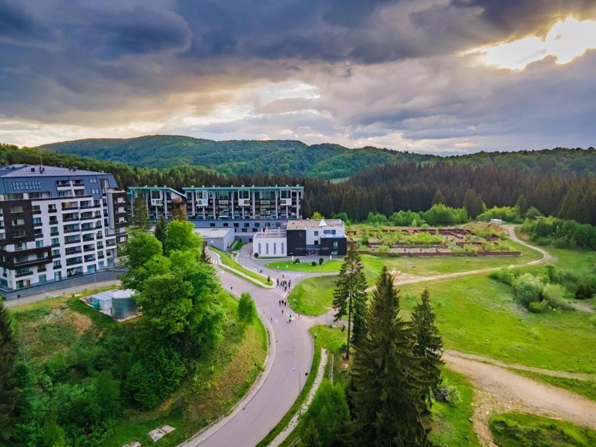 Forest Corner In Silver Mountain Of Пояна-Брашов Экстерьер фото